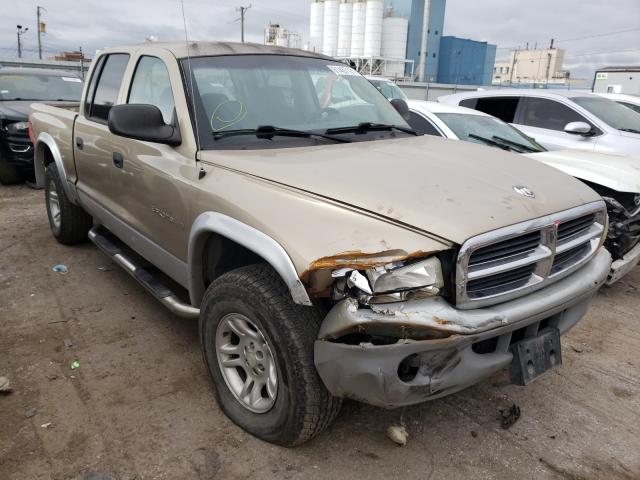 DODGE DAKOTA QUA 2001 with VIN 1B7HG2AN61S329957 - Photo from auction
