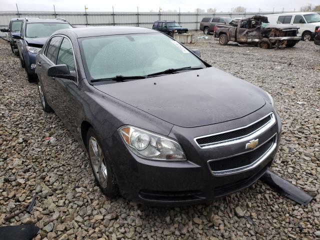 CHEVROLET MALIBU LS 2011 with VIN 1G1ZA5EU5BF151387 - Photo from auction