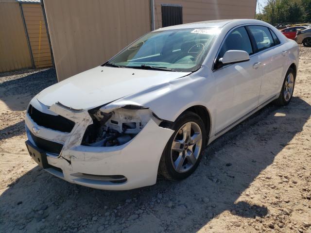 Photo 2 from auction – 2010 CHEVROLET MALIBU 1LT with VIN 1G1ZC5EB5AF304907