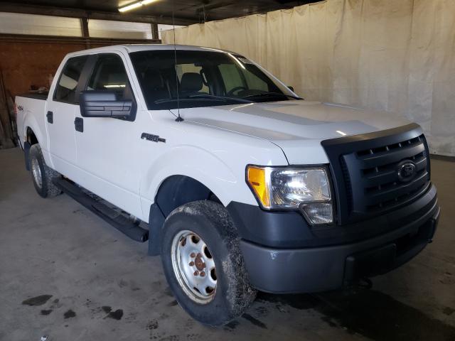 FORD F-150 2010 with VIN 1FTEW1E85AFD10149 - Photo from auction