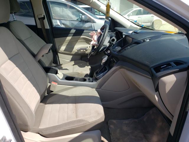 Photo 5 from auction – 2013 FORD ESCAPE SE with VIN 1FMCU0GX9DUB60392