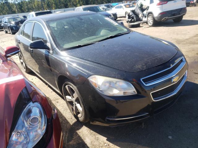 CHEVROLET MALIBU 2011 with VIN 1G1ZC5E10BF344353 - Photo from auction