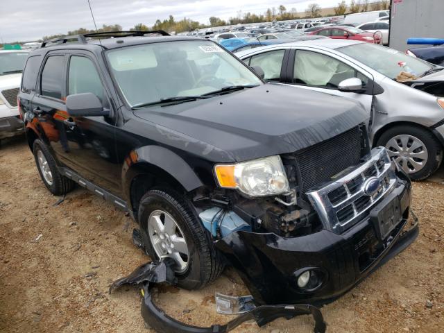 FORD ESCAPE XLT 2009 with VIN 1FMCU03769KC86184 - Photo from auction