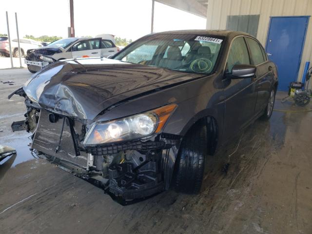 Photo 2 from auction – 2011 HONDA ACCORD EXL with VIN 1HGCP2F8XBA145241