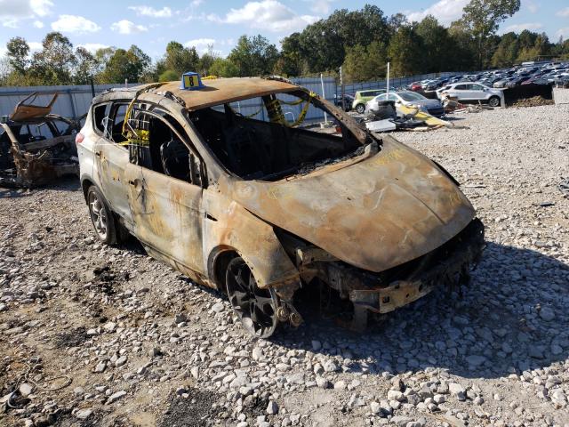 Photo 1 from auction – 2014 FORD ESCAPE TIT with VIN 1FMCU0JX7EUA50399