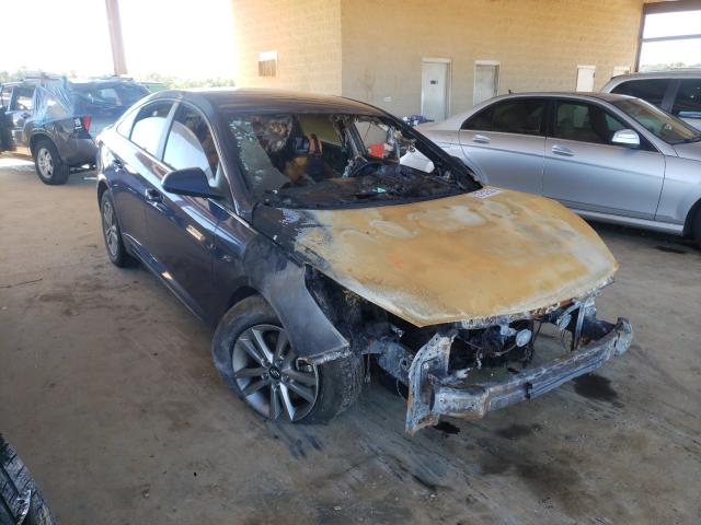 HYUNDAI SONATA SE 2016 with VIN 5NPE24AF0GH357136 - Photo from auction