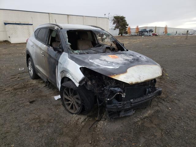 HYUNDAI TUCSON LIM 2017 with VIN KM8J3CA44HU533306 - Photo from auction