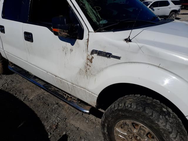 Photo 9 from auction – 2013 FORD F150 SUPER with VIN 1FTFW1EF2DKF40634