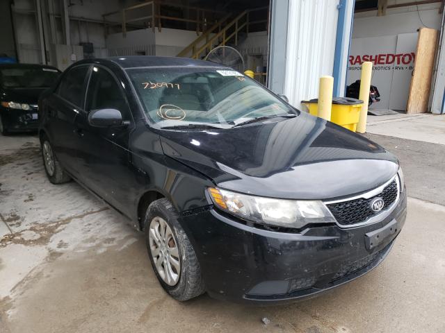 KIA FORTE LX 2013 with VIN KNAFT4A20D5720977 - Photo from auction