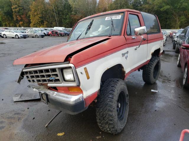 Photo 2 from auction – 1986 FORD BRONCO II with VIN 1FMCU14T5GUD17783