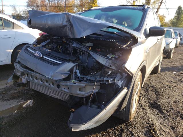 Photo 9 from auction – 2016 FORD ESCAPE SE with VIN 1FMCU9GXXGUC71834