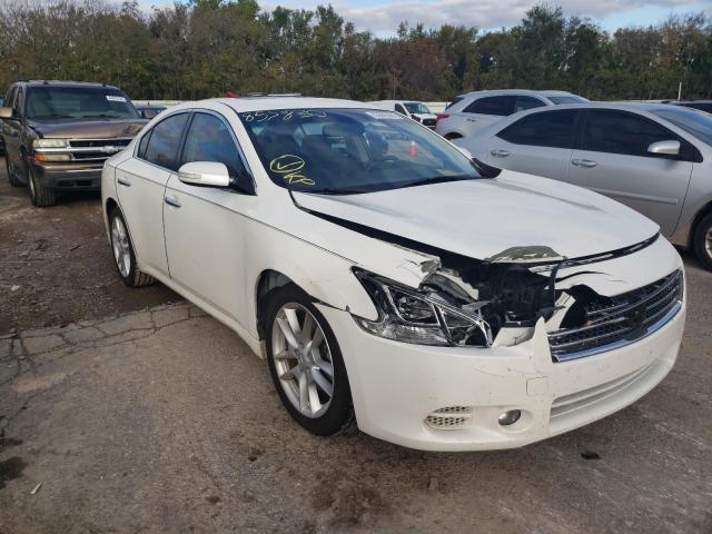 NISSAN MAXIMA S 2011 with VIN 1N4AA5AP4BC857830 - Photo from auction