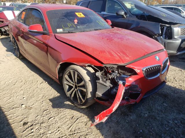 BMW 230I 2017 with VIN WBA2F9C30H7A40292 - Photo from auction