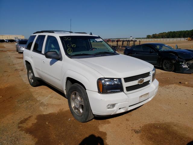 CHEVROLET TRAILBLAZE 2008 with VIN 1GNDS13S382204149 - Photo from auction