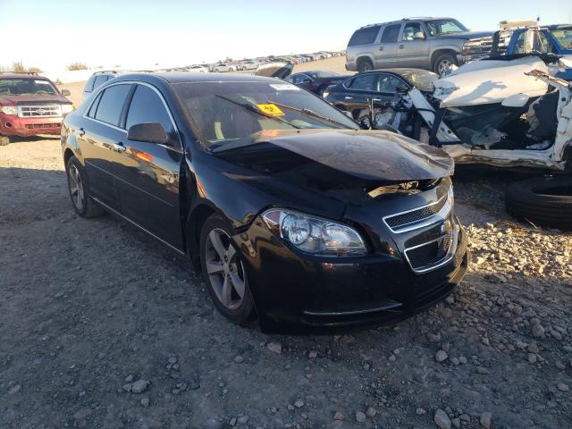 CHEVROLET MALIBU 1LT 2012 with VIN 1G1ZC5EU2CF360016 - Photo from auction