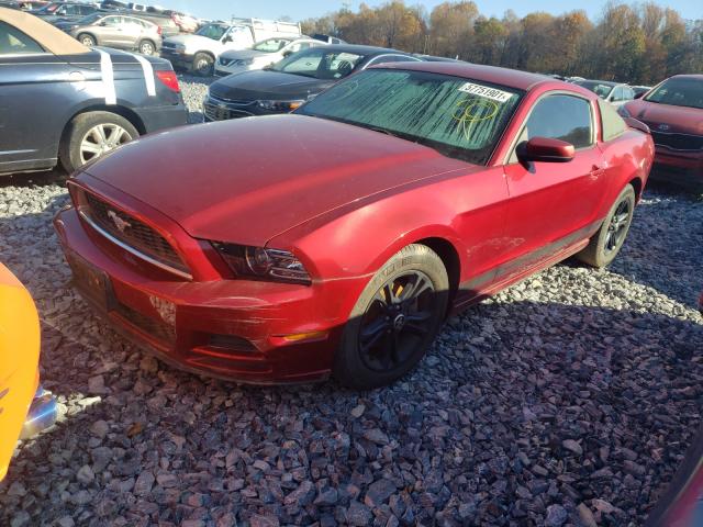 FORD MUSTANG 2014 with VIN 1ZVBP8AM2E5315524 - Photo from auction