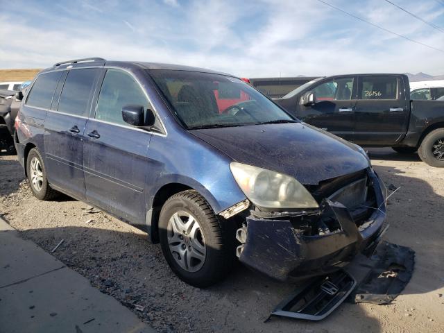 HONDA ODYSSEY EX 2007 with VIN 5FNRL38657B040840 - Photo from auction