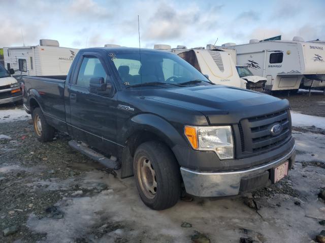 FORD F150 2011 with VIN 1FTMF1CM2BKD33036 - Photo from auction