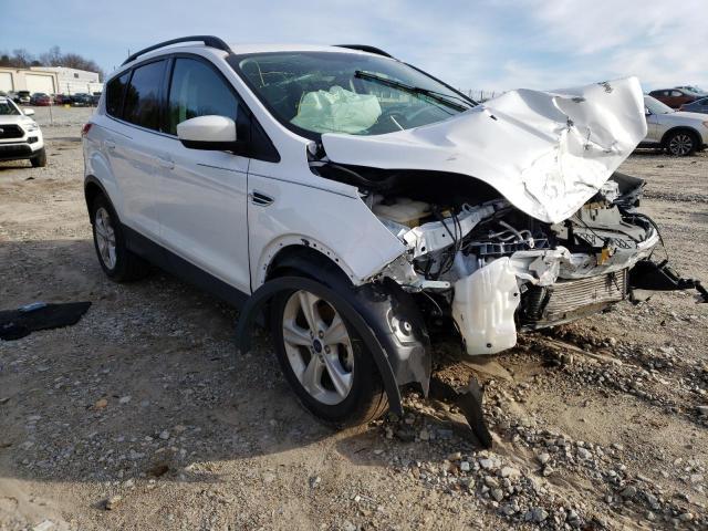 Photo 1 from auction – 2014 FORD ESCAPE SE with VIN 1FMCU0GX0EUB23197
