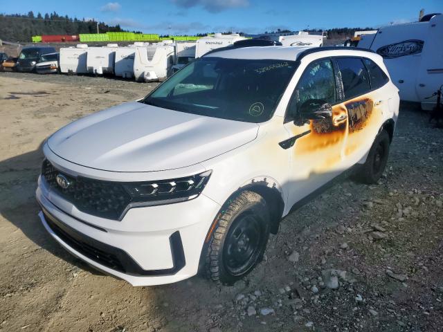 Photo 2 from auction – 2021 KIA SORENTO EX with VIN 5XYRHDLFXMG056504