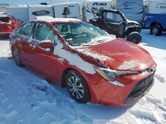 TOYOTA COROLLA LE 2020 with VIN JTDBBRBE7LJ010345 - Photo from auction