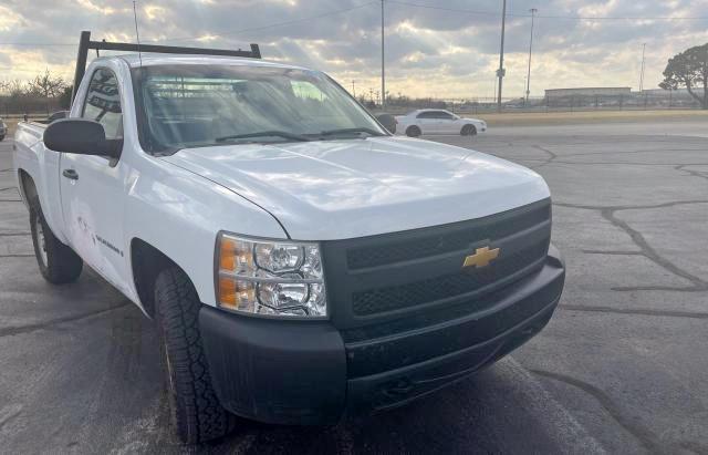 CHEVROLET SILVERADO 2008 with VIN 1GCEK14C58Z252070 - Photo from auction