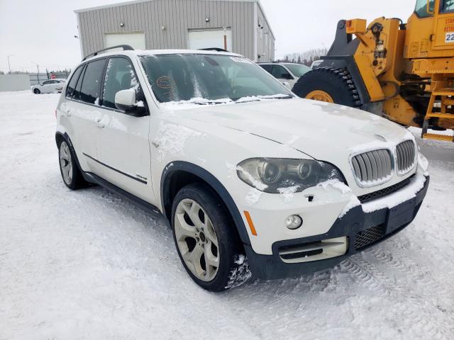 BMW X5 XDRIVE4 2009 with VIN 5UXFE83569L168818 - Photo from auction