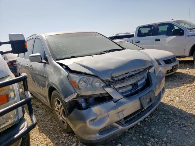 HONDA ODYSSEY EX 2006 with VIN 5FNRL38456B069199 - Photo from auction