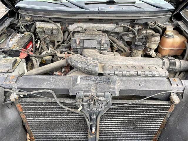 Photo 7 from auction – 2008 FORD F150 SUPER with VIN 1FTPW14588FB00381