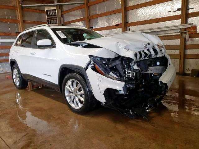 JEEP CHEROKEE L 2014 with VIN 1C4PJLDB3EW172648 - Photo from auction