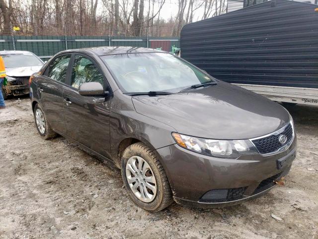 KIA FORTE EX 2011 with VIN KNAFU4A20B5409026 - Photo from auction