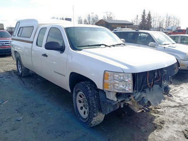 CHEVROLET SILVERADO 2009 with VIN 1GCEK19J19E161507 - Photo from auction