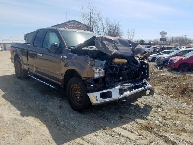 FORD F150 SUPER 2016 with VIN 1FTEX1EP4GFB14815 - Photo from auction
