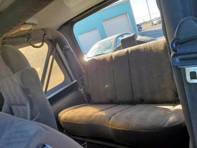 Photo 6 from auction – 2004 JEEP WRANGLER / with VIN 1J4FA29164P729481