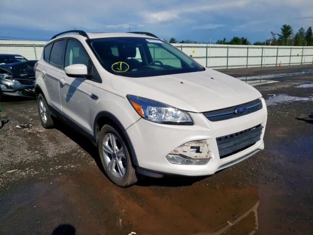 FORD ESCAPE SE 2014 with VIN 1FMCU9GX0EUA81005 - Photo from auction