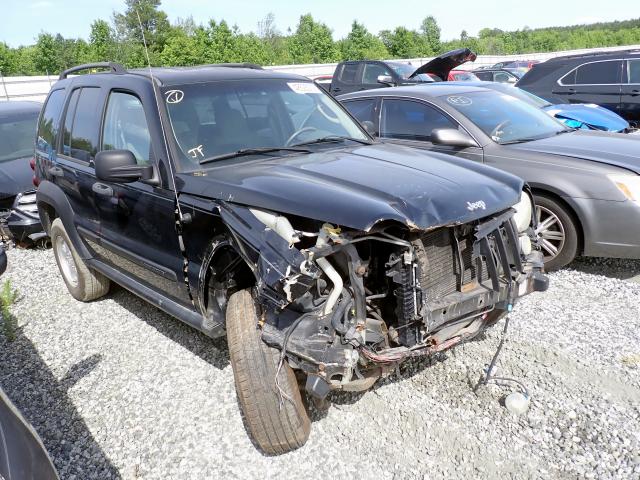 JEEP LIBERTY SP 2006 with VIN 1J4GL48K76W273259 - Photo from auction