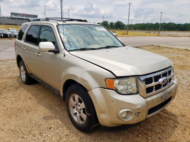 FORD ESCAPE LIM 2010 with VIN 1FMCU0EG1AKB35254 - Photo from auction