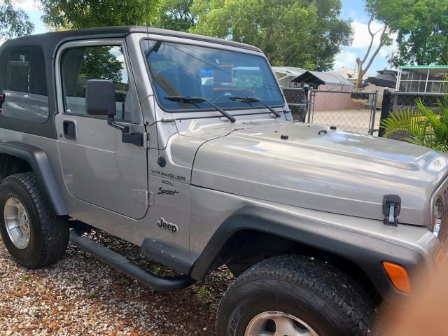 JEEP WRANGLER / 2000 with VIN 1J4FA49SXYP710491 - Photo from auction