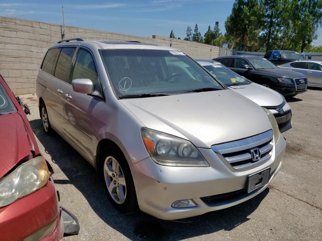 HONDA ODYSSEY TO 2006 with VIN 5FNRL38816B091977 - Photo from auction