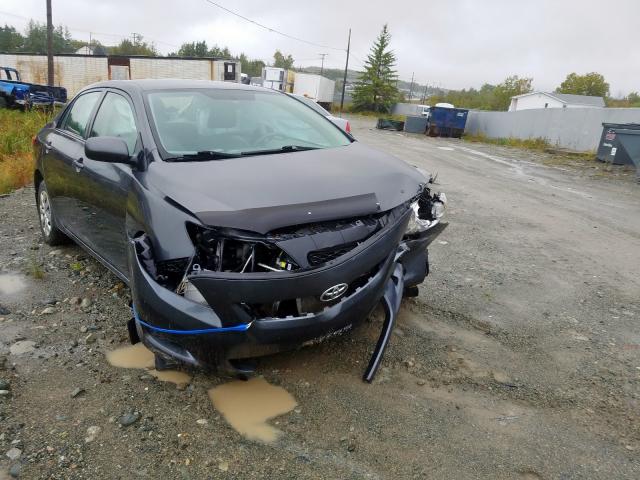 TOYOTA COROLLA BA 2010 with VIN 2T1BU4EE5AC251970 - Photo from auction