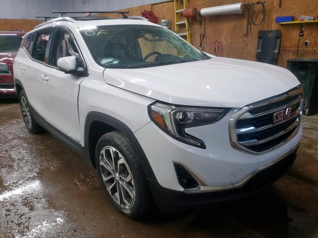 GMC TERRAIN SL 2019 with VIN 3GKALVEX0KL310836 - Photo from auction