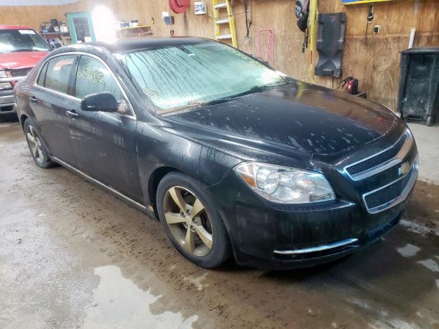 CHEVROLET MALIBU 1LT 2011 with VIN 1G1ZC5E17BF308062 - Photo from auction