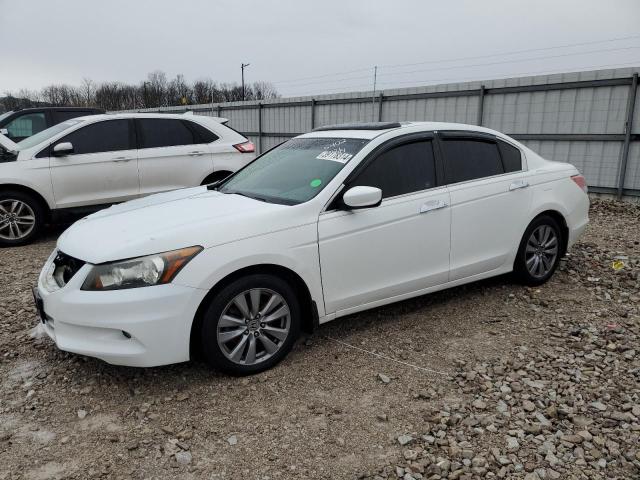 HONDA ACCORD EXL 2011 with VIN 1HGCP3F83BA025402 - Photo from auction