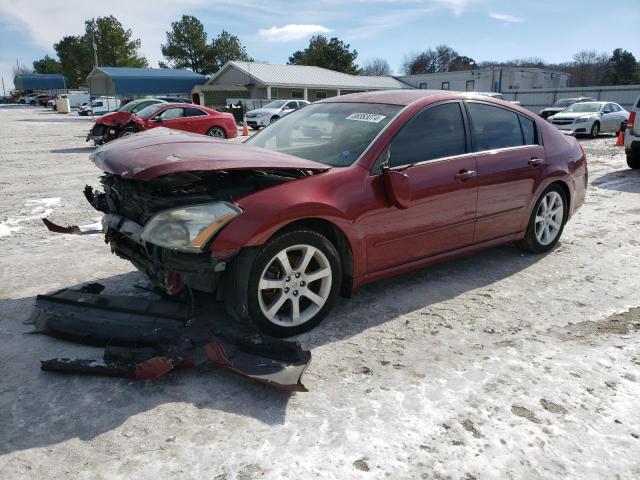NISSAN MAXIMA SE 2008 with VIN 1N4BA41E48C837776 - Photo from auction