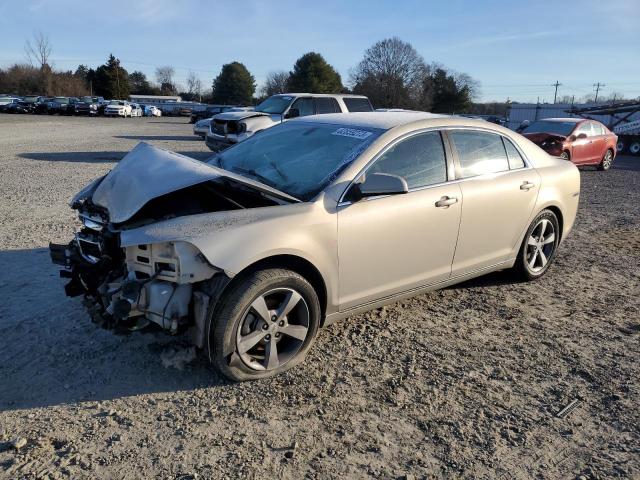 CHEVROLET MALIBU 1LT 2011 with VIN 1G1ZC5EU2BF179934 - Photo from auction
