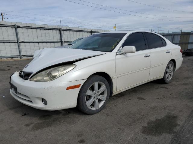 LEXUS ES 330 2005 with VIN JTHBA30G555124942 - Photo from auction
