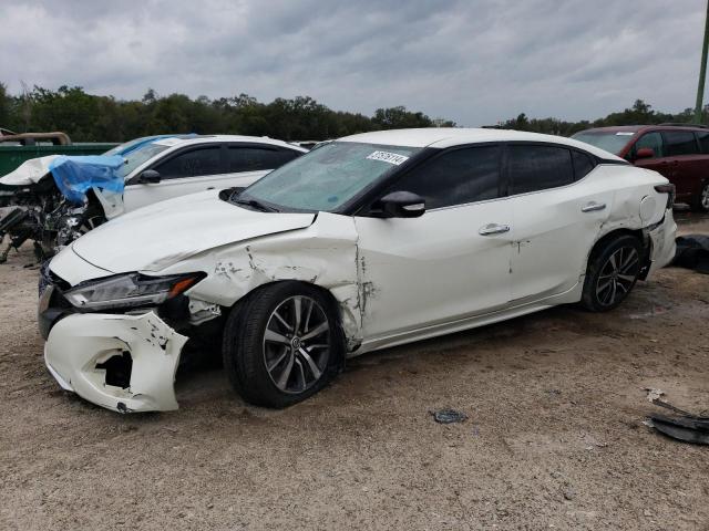 NISSAN MAXIMA SV 2020 with VIN 1N4AA6CV2LC369771 - Photo from auction
