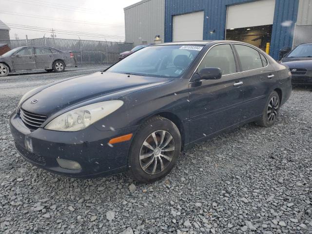LEXUS ES 330 2004 with VIN JTHBA30G240016421 - Photo from auction