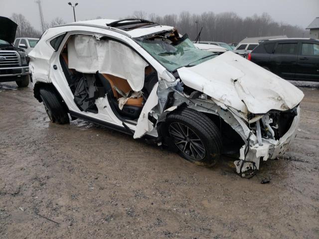 Photo 4 from auction – 2023 LEXUS NX 350 with VIN 2T2GGCEZ1PC029232