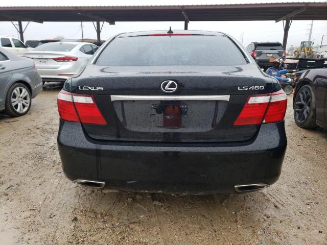 Photo 6 from auction – 2009 LEXUS LS 460 with VIN JTHBL46F395088740